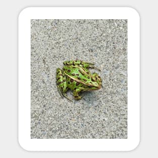 Perfect Frog Sticker